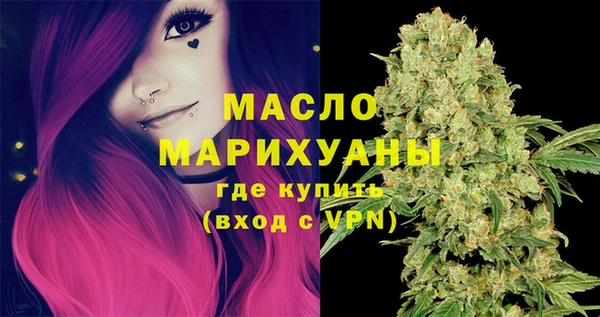 молекула духа Волоколамск