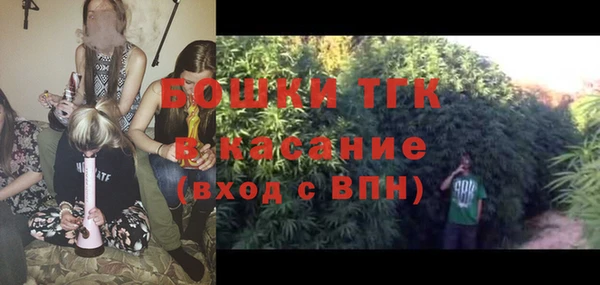 молекула духа Волоколамск