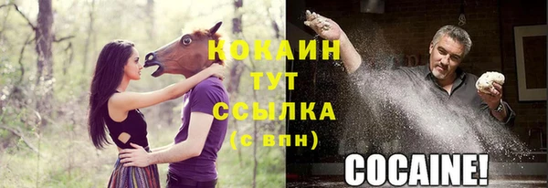 молекула духа Волоколамск