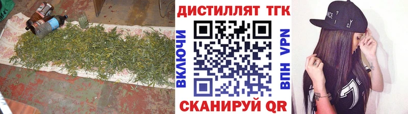 закладки  Жиздра  ТГК Wax 