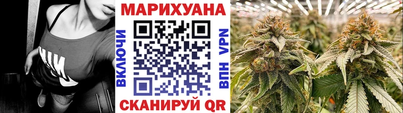 купить наркотики цена  Жиздра  Марихуана марихуана 